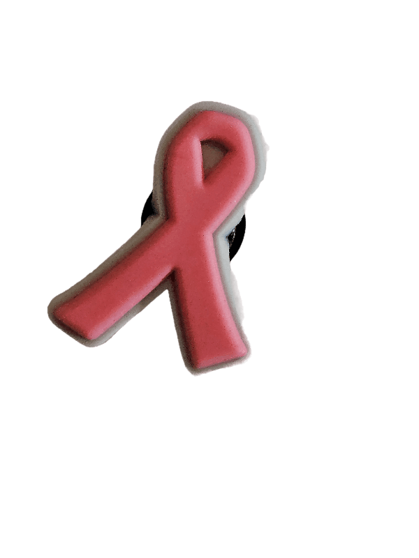 Breast Cancer Croc Charms