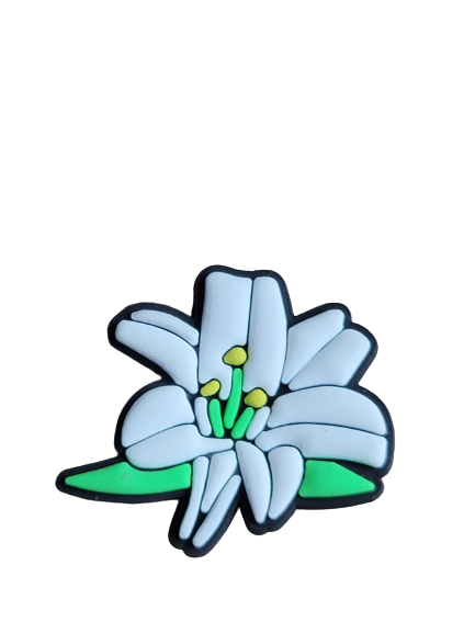 Flower Croc Charms