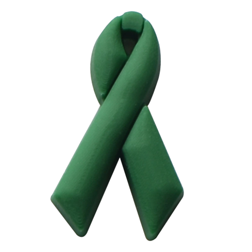 Awareness Ribbons Croc Charms