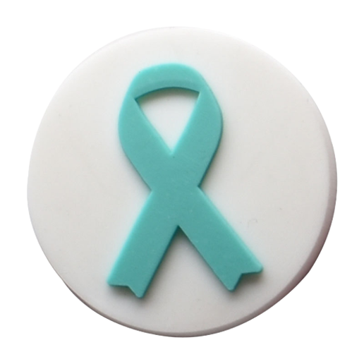 Awareness Ribbons Croc Charms