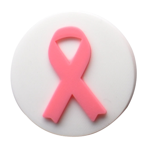 Breast Cancer Croc Charms