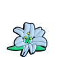 Flower Croc Charms