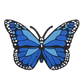 Butterfly Croc Charms